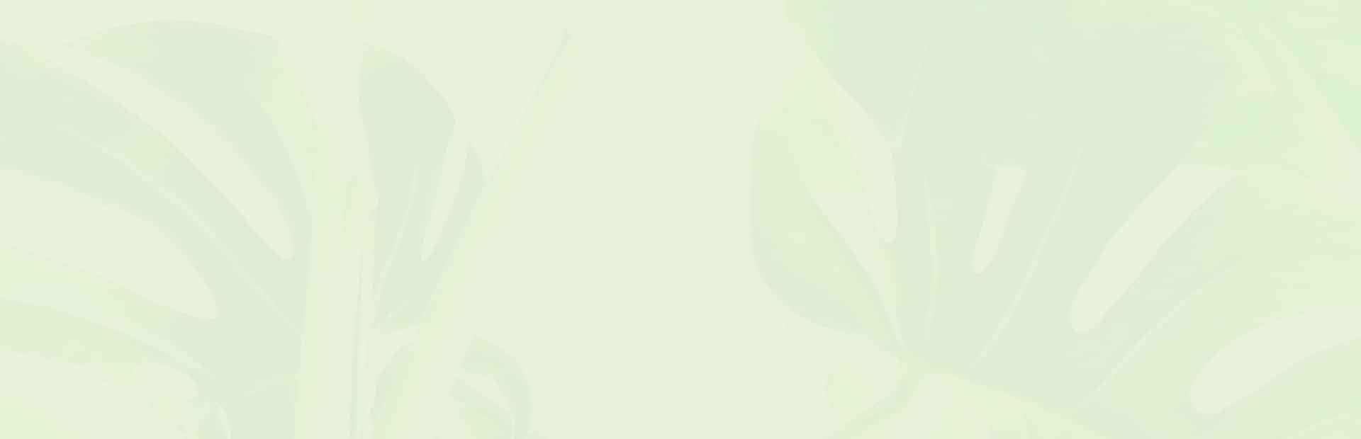 Vegan Store Home Alt 9 Spinach Dog Sticks